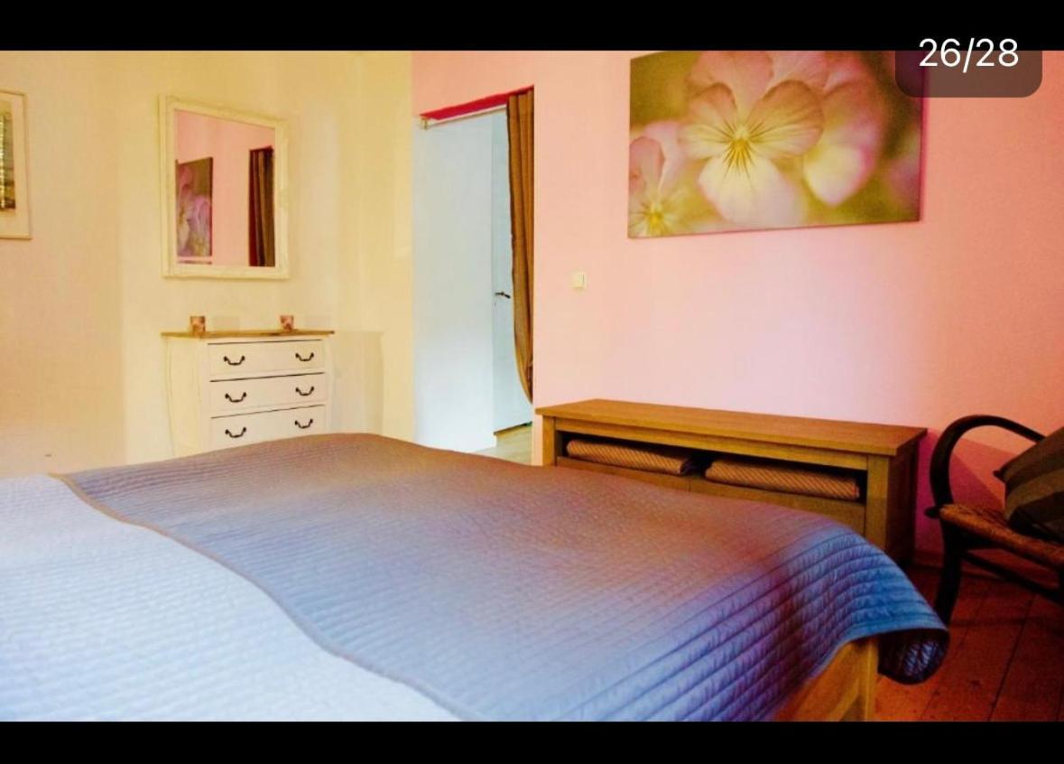 Apartment Moselblick Mit Kamin Traben-Trarbach Exterior foto